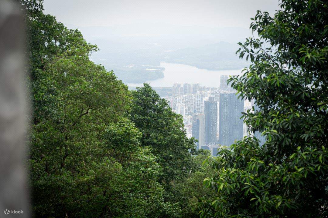 [klook Exclusive] [Family Time] Pakej Penginapan Sheraton Shenzhen Bolin Tianrui (berhampiran Bandar Universiti Shenzhen)